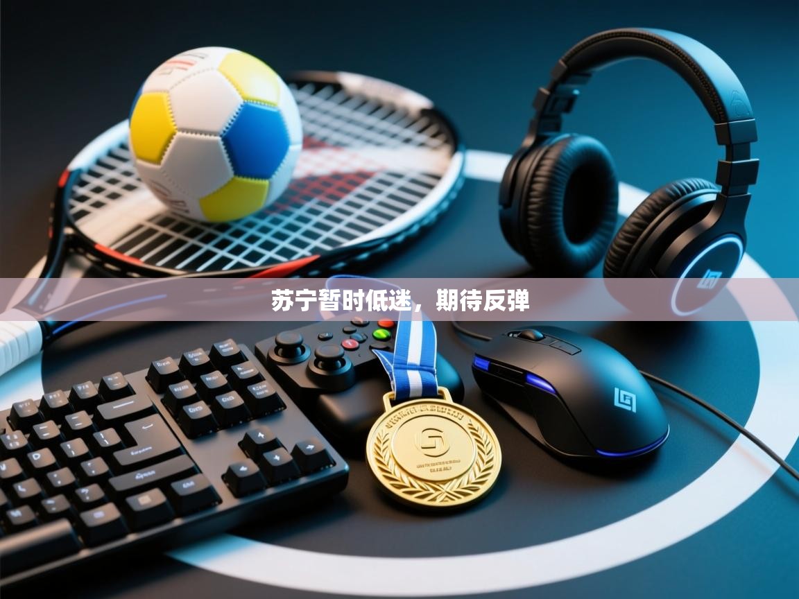 苏宁暂时低迷，期待反弹  第1张