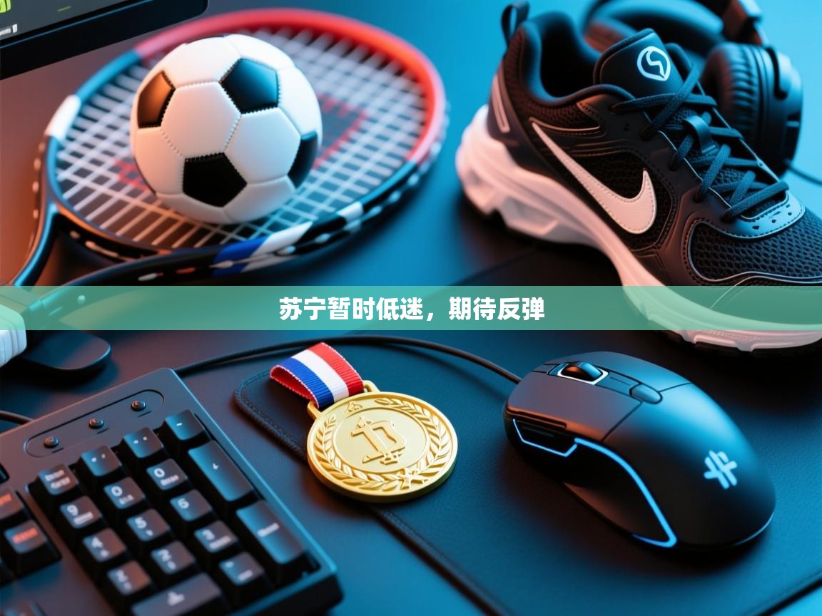 苏宁暂时低迷，期待反弹  第2张