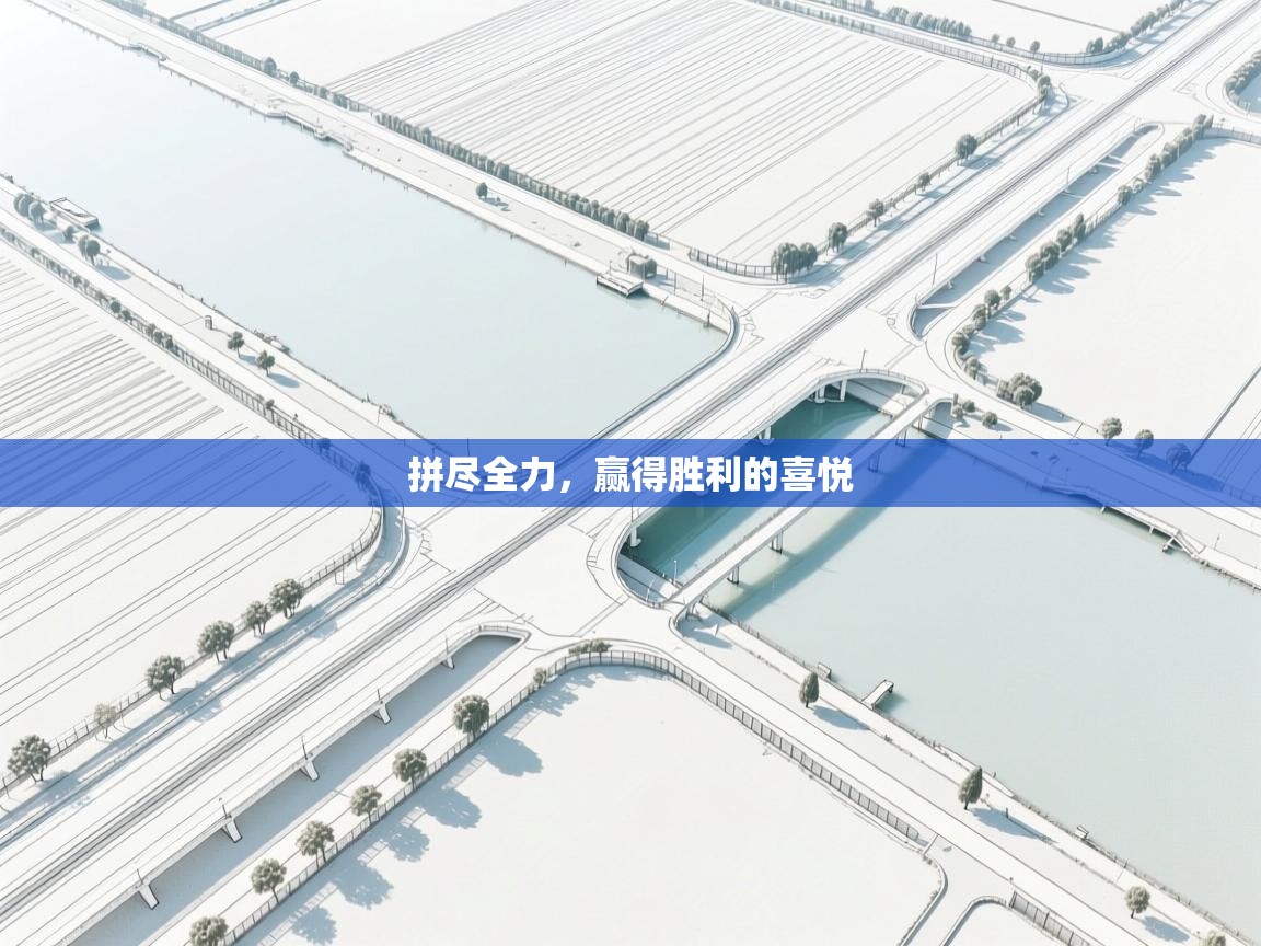 拼尽全力，赢得胜利的喜悦  第1张